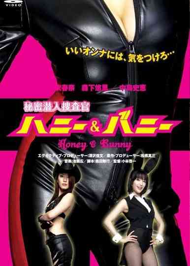 Secret Undercover Agent: Honey & Bunny poster