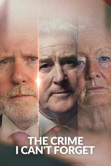 The Crime I Can't Forget Poster