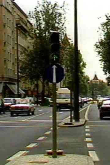 Sétimo Direito Poster