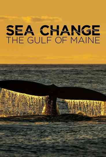 Sea Change: The Gulf of Maine Poster