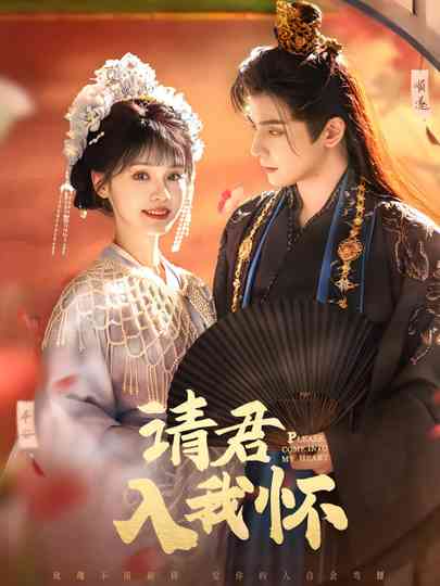 Please Come into My Heart poster