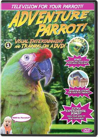 Adventure Parrot! Poster