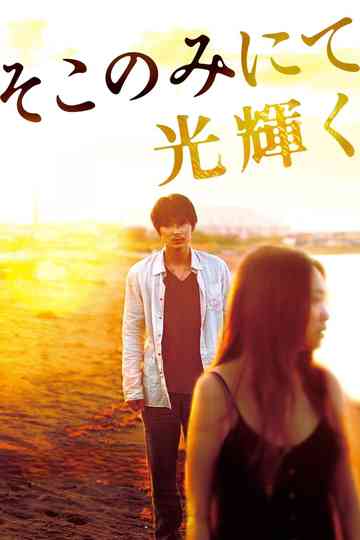 The Light Shines Only There poster