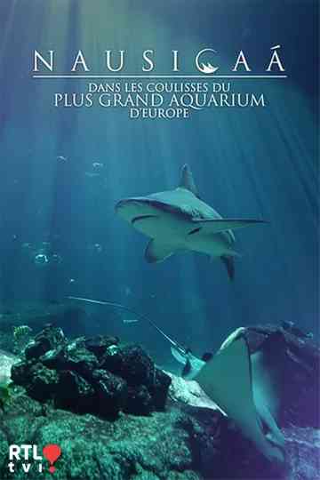 Nausicaá : Dans les coulisses du plus grand aquarium d'Europe Poster