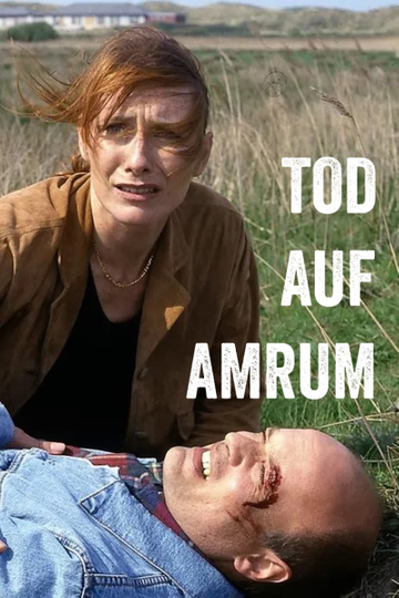 Tod auf Amrum Poster