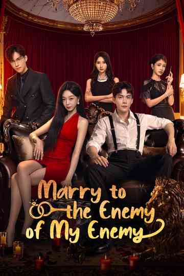 Marry to the Enemy of My Enemy poster