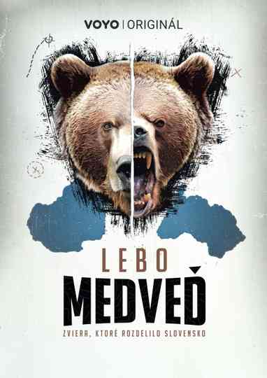 Lebo medveď Poster