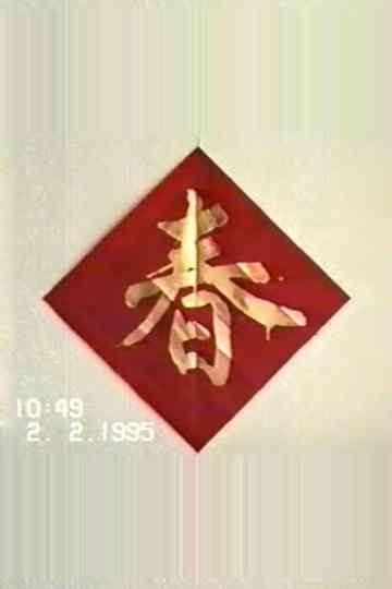 1995年2月2日西穆家峪村花会全程录像 poster