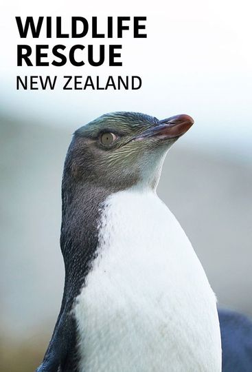 Wildlife Rescue New Zealand