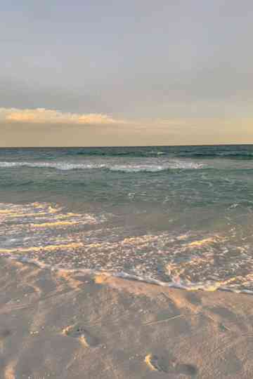 Erie Beach : The Next Chapter Poster