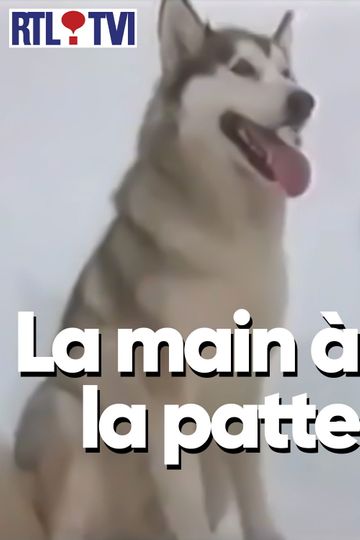 La main à la patte