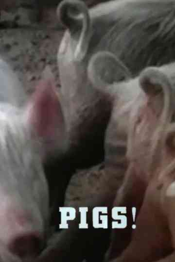Pigs! Poster