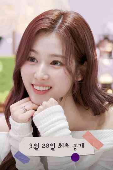 Sana's Fridge Interview Poster