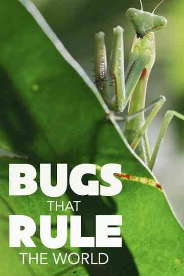 Bugs That Rule the World poster