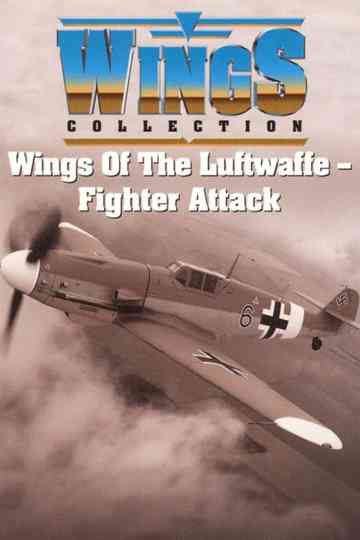 Wings of the Luftwaffe Poster