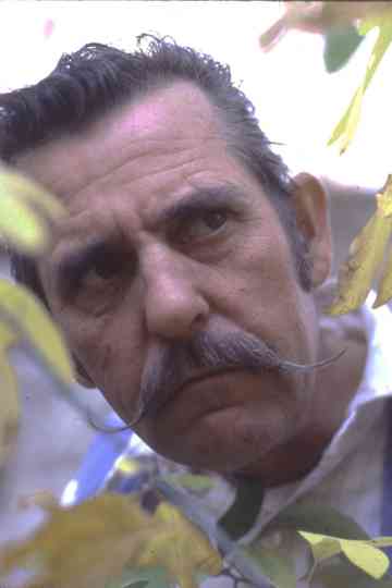 Hamper McBee Raw Mash poster