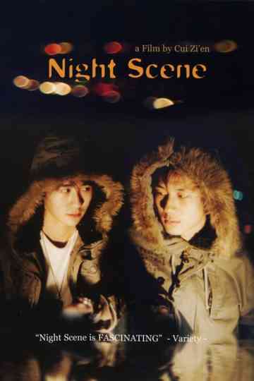 Night Scene Poster