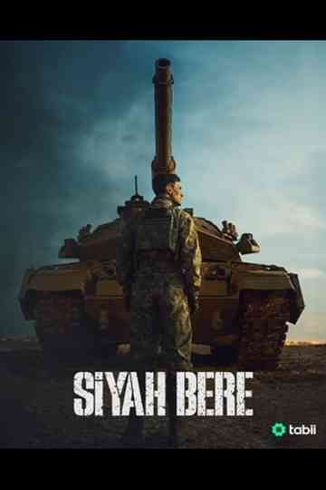 Siyah Bere poster