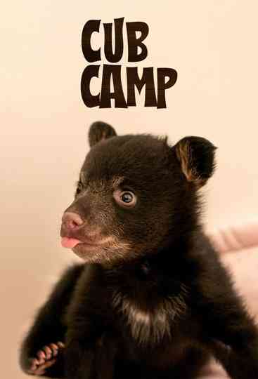Cub Camp Poster