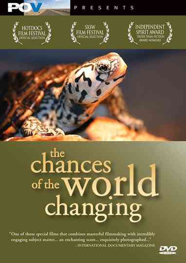 The Chances of the World Changing Poster