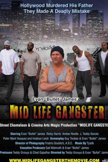 Mid Life Gangster Poster