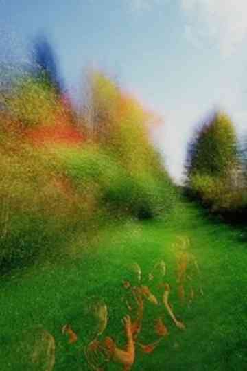 Brouillard 14 Poster