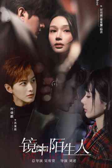 The Stranger in the Mirror Poster