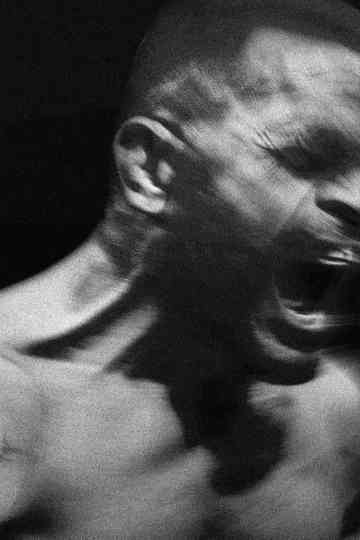 Karel vs. Karlos Poster