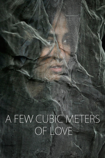 A Few Cubic Meters of Love Poster