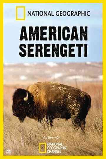 American Serengeti Poster