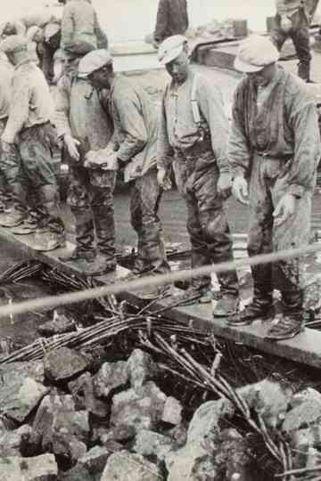 Zuiderzee works Poster