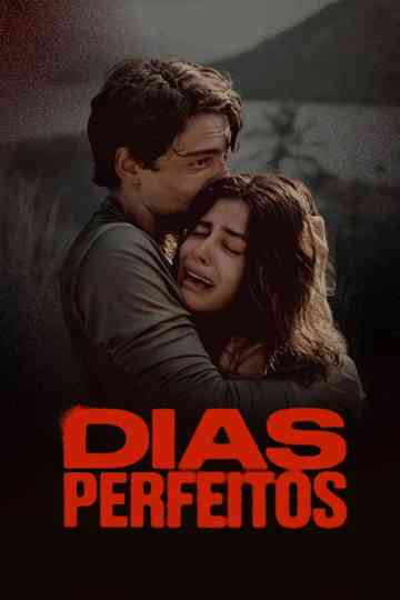 Perfect Days poster