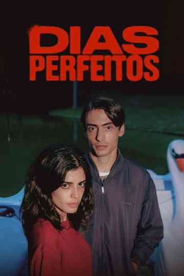 Perfect Days Poster