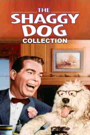 The Shaggy Dog Collection Poster