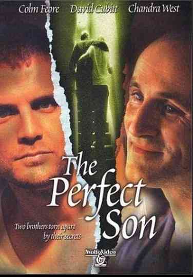 The Perfect Son Poster