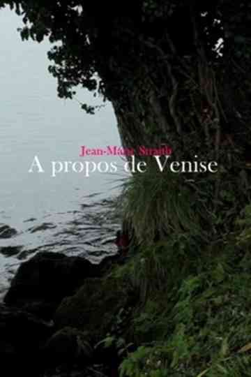 Concerning Venice Poster