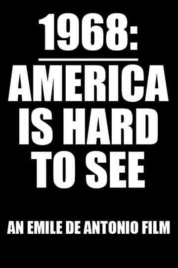 America Is Hard to See Poster