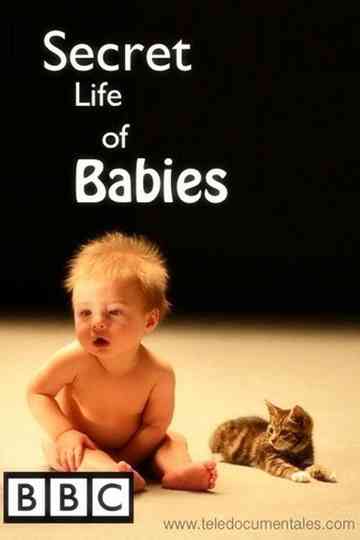 Secret Life of Babies Poster