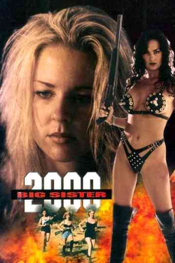 Big Sister 2000 Poster