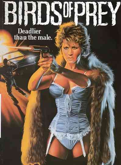 Birds of Prey Poster