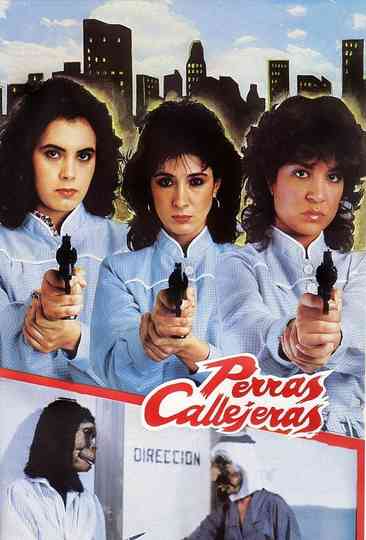 Female Street Dogs Poster