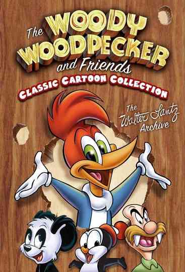 The Woody Woodpecker Show Poster