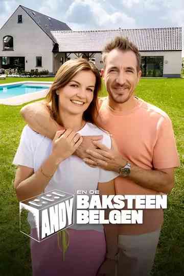 Andy en de Baksteen Belgen Poster