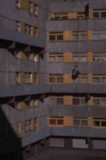 Ein normales Leben Poster