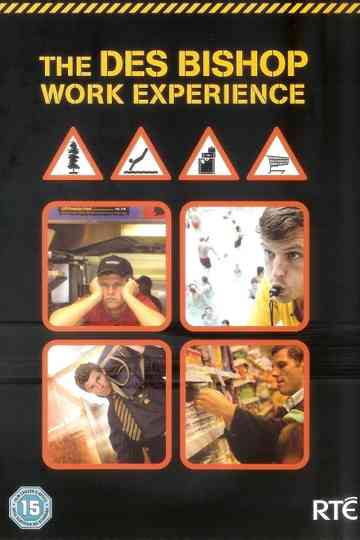 The Des Bishop Work Experience poster