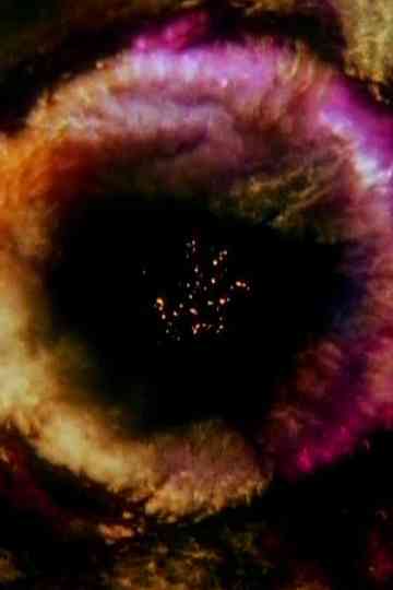 Fountain of Dreams Poster