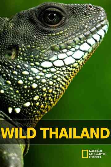 Wild Thailand Poster