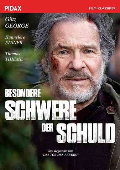 Besondere Schwere der Schuld Poster