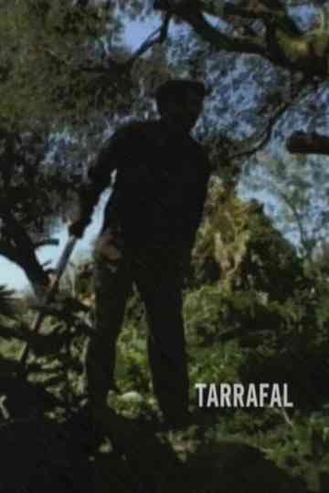 Tarrafal Poster