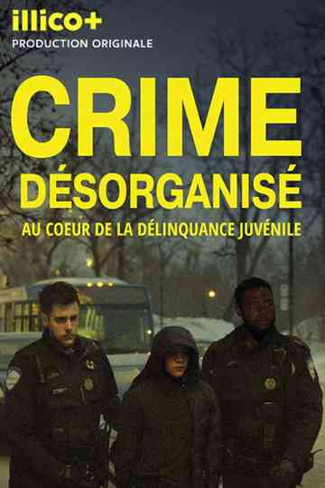 Crime désorganisé: au cœur de la délinquance juvénile Poster